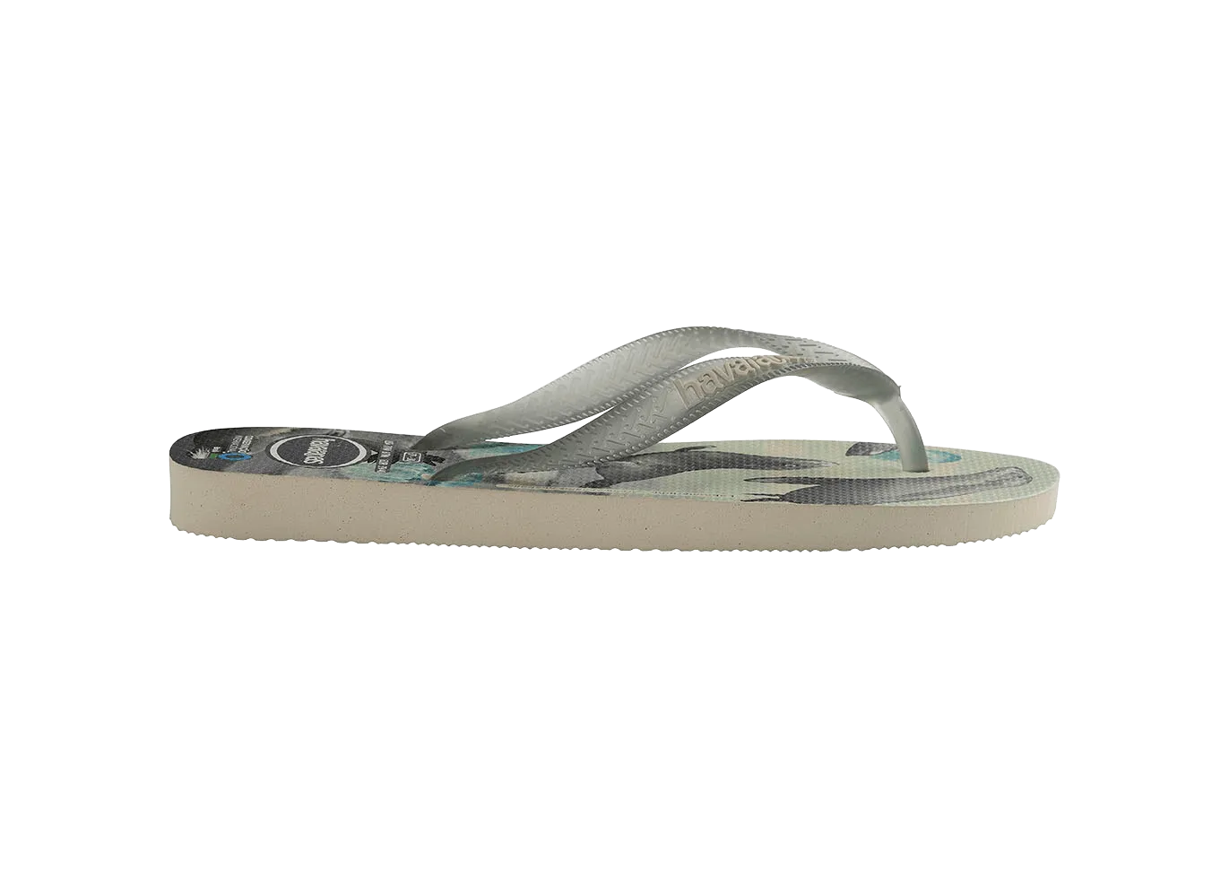 Conservation International Flip Flops