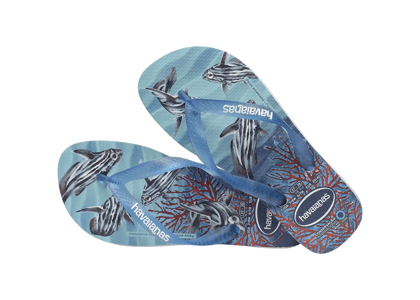 Conservation International Flip Flops