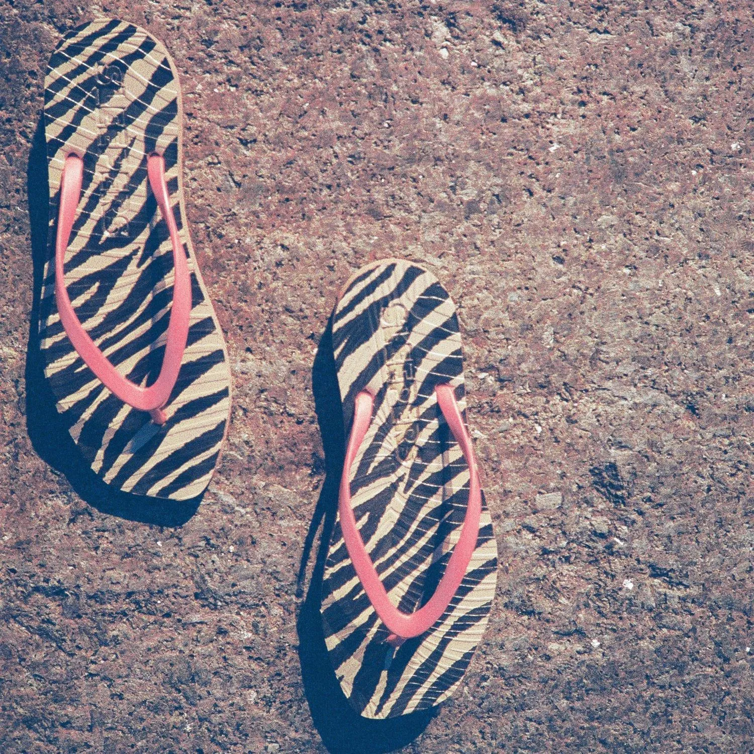 Tapered Sand Zebra