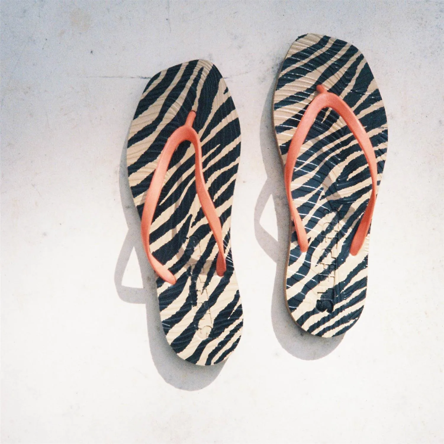 Tapered Sand Zebra